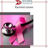 041022kz
