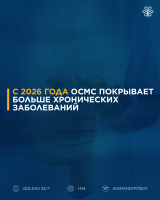 Cover_HRONICHESKIE_RUS